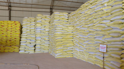 高臺(tái)農(nóng)資儲(chǔ)備充足，春耕生產(chǎn)有保障——化肥銷售助力農(nóng)業(yè)穩(wěn)產(chǎn)